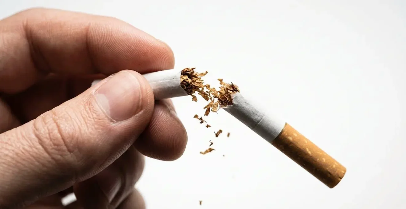 Vue macro d'une main tenant une cigarette cassée en deux, symbolisant l'arrêt du tabac et les économies sur l'assurance
